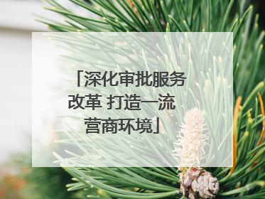 深化审批服务改革 打造一流营商环境