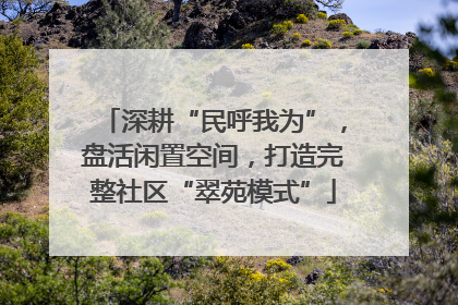深耕“民呼我为”，盘活闲置空间，打造完整社区“翠苑模式”