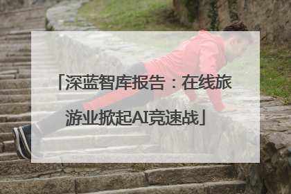 深蓝智库报告：在线旅游业掀起AI竞速战