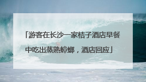 游客在长沙一家桔子酒店早餐中吃出蒸熟蟑螂，酒店回应