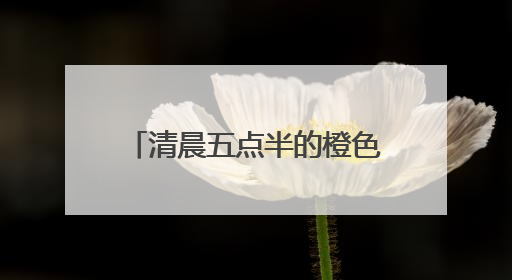 清晨五点半的橙色守护：滨州环卫工日俯身20次托举考场外的“答卷尊严”