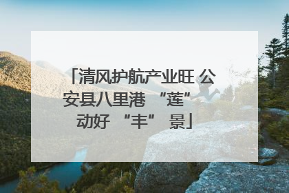 清风护航产业旺 公安县八里港 “莲” 动好 “丰” 景
