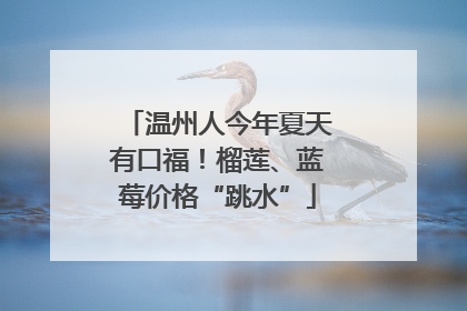 温州人今年夏天有口福！榴莲、蓝莓价格“跳水”