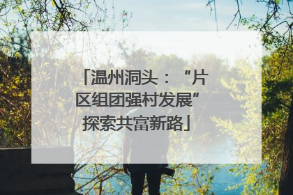 温州洞头：“片区组团强村发展”探索共富新路