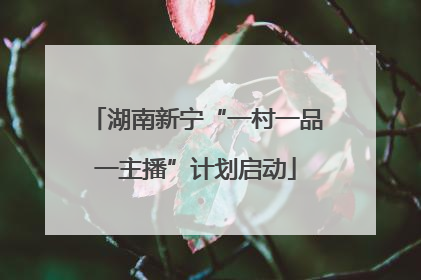 湖南新宁“一村一品一主播”计划启动