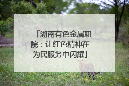 湖南有色金属职院：让红色精神在为民服务中闪耀