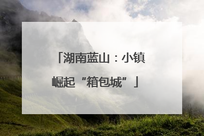 湖南蓝山：小镇崛起“箱包城”