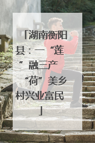 湖南衡阳县：一“莲”融三产 “荷”美乡村兴业富民