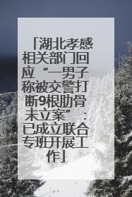 湖北孝感相关部门回应“一男子称被交警打断9根肋骨未立案”：已成立联合专班开展工作