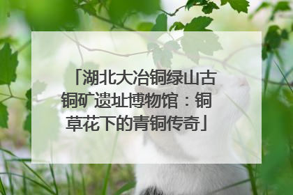 湖北大冶铜绿山古铜矿遗址博物馆：铜草花下的青铜传奇
