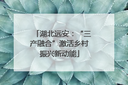 湖北远安：“三产融合”激活乡村振兴新动能