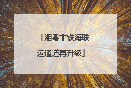 湘粤非铁海联运通道再升级