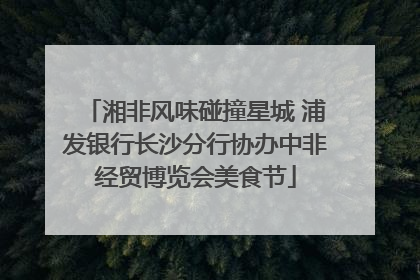 湘非风味碰撞星城 浦发银行长沙分行协办中非经贸博览会美食节