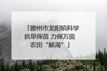 滕州市龙阳镇科学抗旱保苗 力保万亩农田“解渴”