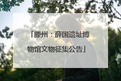 滕州：薛国遗址博物馆文物征集公告