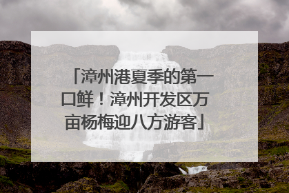 漳州港夏季的第一口鲜！漳州开发区万亩杨梅迎八方游客