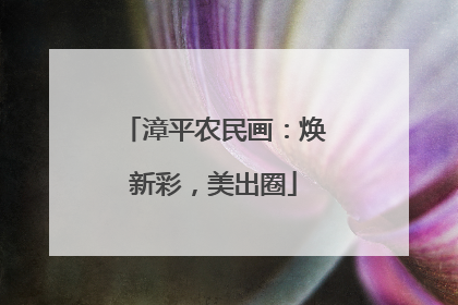 漳平农民画：焕新彩，美出圈
