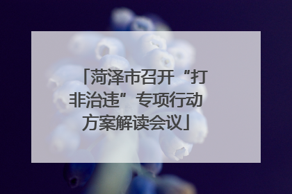 菏泽市召开“打非治违”专项行动方案解读会议