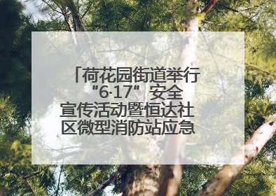 荷花园街道举行“6·17”安全宣传活动暨恒达社区微型消防站应急小分队启动式