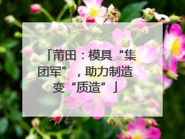 莆田：模具“集团军”，助力制造变“质造”