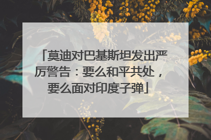 莫迪对巴基斯坦发出严厉警告：要么和平共处，要么面对印度子弹