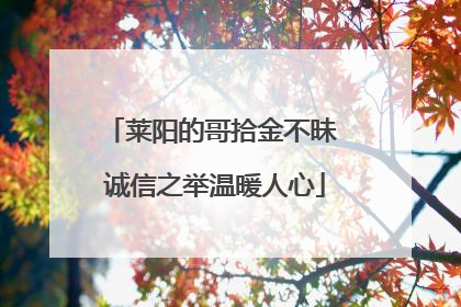 莱阳的哥拾金不昧 诚信之举温暖人心