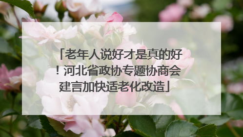 老年人说好才是真的好！河北省政协专题协商会建言加快适老化改造