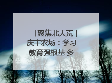 聚焦北大荒｜庆丰农场：学习教育强根基 多管齐下助发展