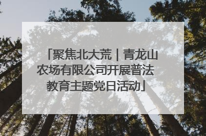 聚焦北大荒｜青龙山农场有限公司开展普法教育主题党日活动