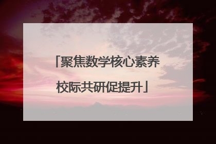 聚焦数学核心素养 校际共研促提升