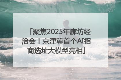 聚焦2025年廊坊经洽会丨京津冀首个AI招商选址大模型亮相