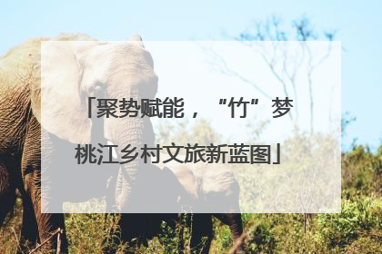 聚势赋能，“竹”梦桃江乡村文旅新蓝图