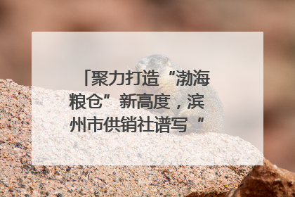 聚力打造“渤海粮仓”新高度，滨州市供销社谱写“三夏”丰收乐章