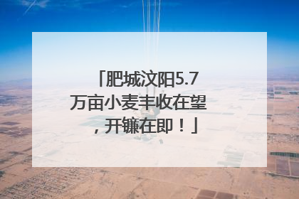 肥城汶阳5.7万亩小麦丰收在望，开镰在即！