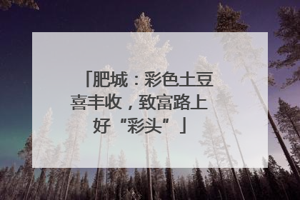 肥城：彩色土豆喜丰收，致富路上好“彩头”