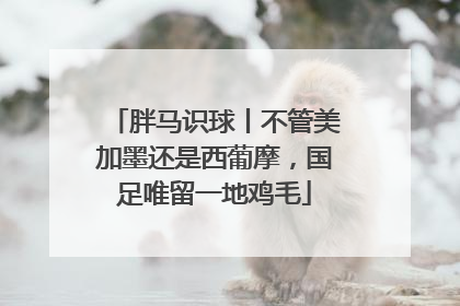 胖马识球丨不管美加墨还是西葡摩，国足唯留一地鸡毛
