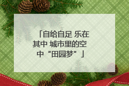 自给自足 乐在其中 城市里的空中“田园梦”