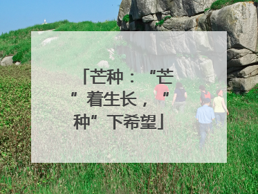 芒种：“芒”着生长，“种”下希望