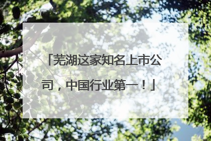 芜湖这家知名上市公司，中国行业第一！