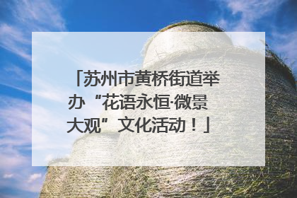 苏州市黄桥街道举办“花语永恒·微景大观”文化活动！