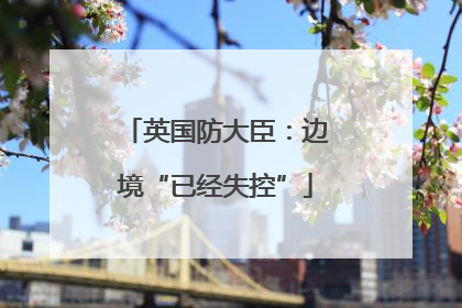 英国防大臣：边境“已经失控”