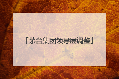 茅台集团领导层调整