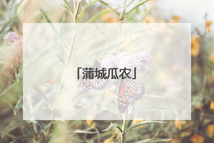 蒲城瓜农