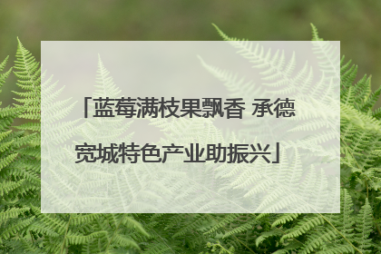 蓝莓满枝果飘香 承德宽城特色产业助振兴