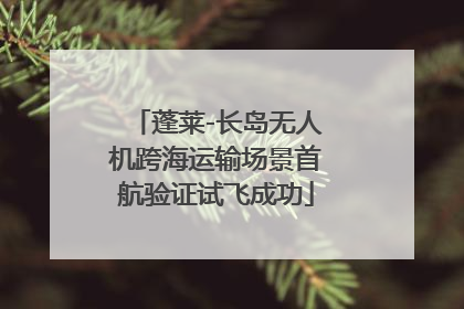 蓬莱-长岛无人机跨海运输场景首航验证试飞成功
