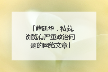 薛建华，私藏、浏览有严重政治问题的网络文章