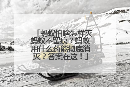 蚂蚁怕啥怎样灭蚂蚁不留痕？蚂蚁用什么药能彻底消灭？答案在这！