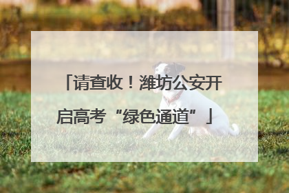请查收!潍坊公安开启高考“绿色通道”