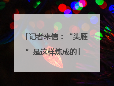记者来信：“头雁”是这样炼成的