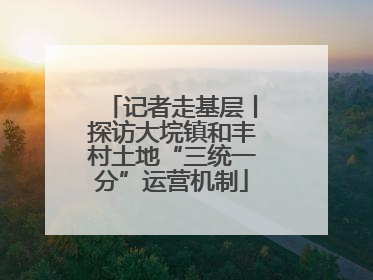 记者走基层丨探访大垸镇和丰村土地“三统一分”运营机制